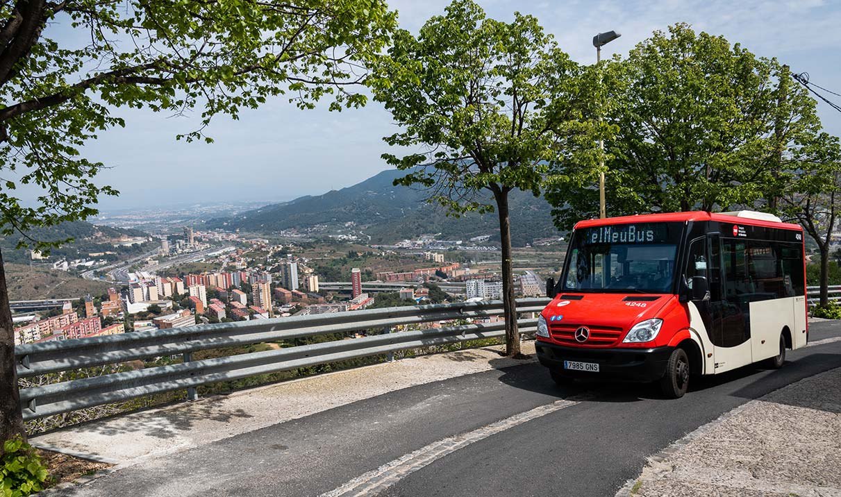 Demand-responsive minibus serving a low-density area